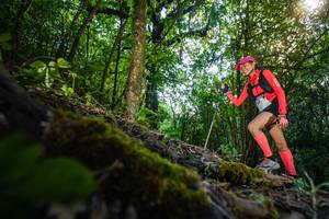 BIB: 
                            <button type="button" onclick="openModal(16009772)" class="btn btn-primary btn-sm float-right btn-popup" data-toggle="modal" data-target=".modal-high-quality">
                        <i class="fas fa-shopping-cart"></i> Add to Cart
                    </button>
                                            <button type="button" onclick="isThisMe(16009772, true)" class="btn btn-success btn-sm float-right btn-popup btn-isme hidden" data-toggle="tooltip" data-placement="bottom" title="นี่คือรูปของคุณใช่ไหม คลิกที่นี่เพื่อเอาเข้าอัลบั้ม">
                        <i class="fas fa-plus"></i> Add to album
                    </button>
                    <button type="button" onclick="isThisMe(16009772, false)" class="btn btn-warning btn-sm float-right btn-popup btn-isnotme hidden">
                        <i class="fas fa-ban"></i> Remove from album
                    </button>